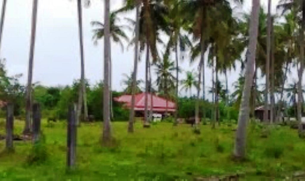 The Village Langkawi Pantai Cenang  Exteriér fotografie